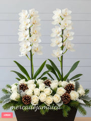 Navidad con orquídeas cymbidium