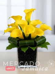 Luz y Sombras con Callas Amarillas