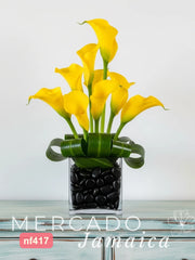 Luz y Sombras con Callas Amarillas