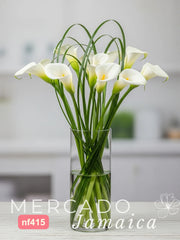 Compartamos el Encanto con Callas Blancas