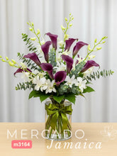 10 Callas Moradas Orquídeas