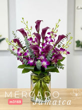 Callas Moradas Orquídeas Lila