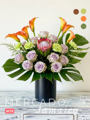 Audaz con Rosas Amnesia y Protea King