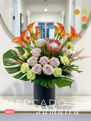 Audaz con Rosas Amnesia y Protea King