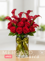 Juramento de Romero Callas Rojas