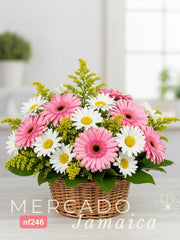 Canasta Día de Campo con Gerberas y Margaritas