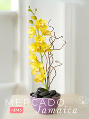 Destello Dorado Orquídea Amarilla