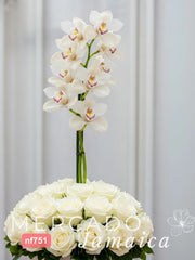 La Blanca Flor Más Secreta del Mundo