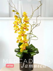 La flor del imperio crece entre las estrellas