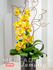 La flor del imperio crece entre las estrellas