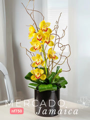 La flor del imperio crece entre las estrellas