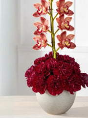 El Amor Florece con Orquídeas