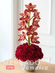 El Amor Florece con Orquídeas