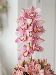 El Cariño Rosa Llena los Corazones