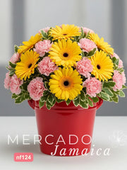 Rosas + 10 Gerberas - Armonía Encantada
