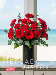 10 Gerberas Rojas + 10 Claveles Rojos