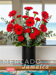 10 Gerberas Rojas + 10 Claveles Rojos