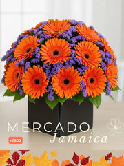 Gerberas Encendidas en Otoño