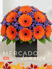 Gerberas Encendidas en Otoño