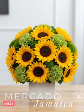 Girasoles Sol con Delivery