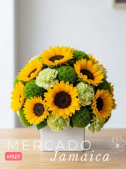Girasoles Sol con Delivery