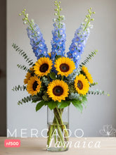 Girasoles Cielo de Verano