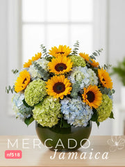 10 Girasoles Cuidado: provoca mariposas