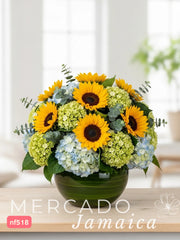 10 Girasoles Cuidado: provoca mariposas