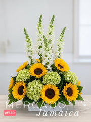 Arreglo con Girasoles para recargar batería