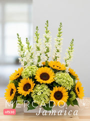 Arreglo con Girasoles para recargar batería