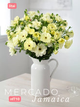 Ranúnculo Mariposa Litai