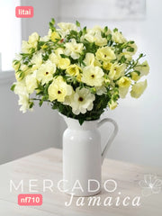 Ranúnculo Mariposa Litai