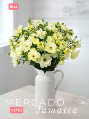 Ranúnculo Mariposa Litai