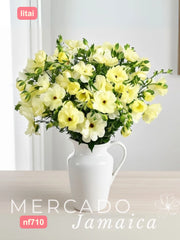 Ranúnculo Mariposa Litai