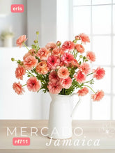 Ranúnculo Mariposa Eris