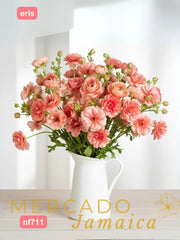 Ranúnculo Mariposa Eris