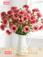 Ranúnculos Mariposa Musa