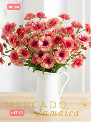 Ranúnculos Mariposa Musa