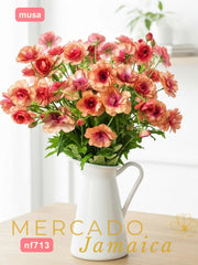 Ranúnculos Mariposa Musa