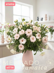 Ranúnculo Mariposa Ariadne