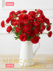 Ranúnculos Mariposa Hades