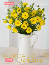 Ranúnculos Mariposa Phytalos