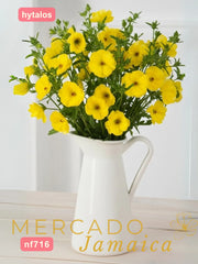 Ranúnculos Mariposa Phytalos