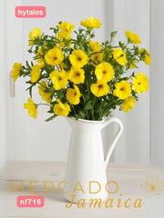 Ranúnculos Mariposa Phytalos