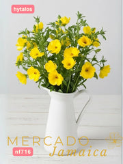 Ranúnculos Mariposa Phytalos