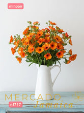 Ranúnculos Mariposa Minoan