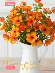 Ranúnculos Mariposa Minoan