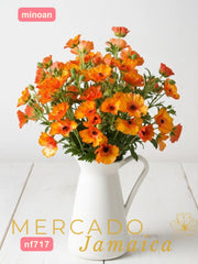 Ranúnculos Mariposa Minoan