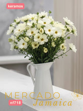 Ranúnculos Mariposa Keramos