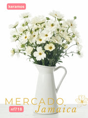 Ranúnculos Mariposa Keramos